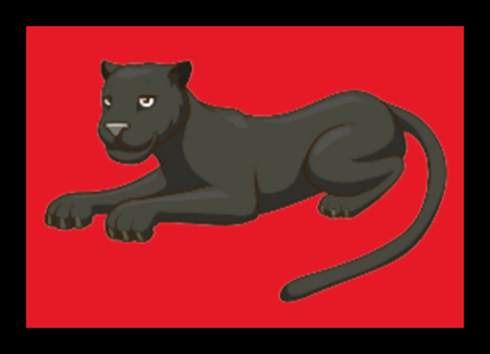 Year 6 - Panthers Class
