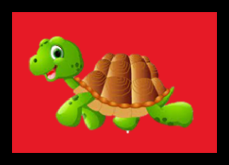 Year 1 - Turtles Class